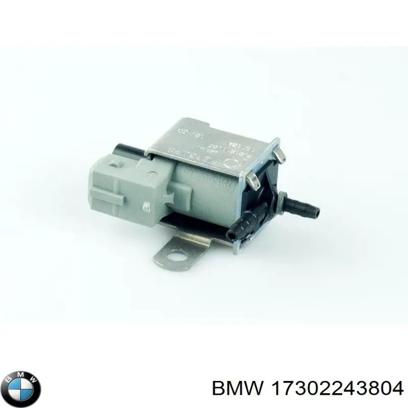 17302243804 BMW