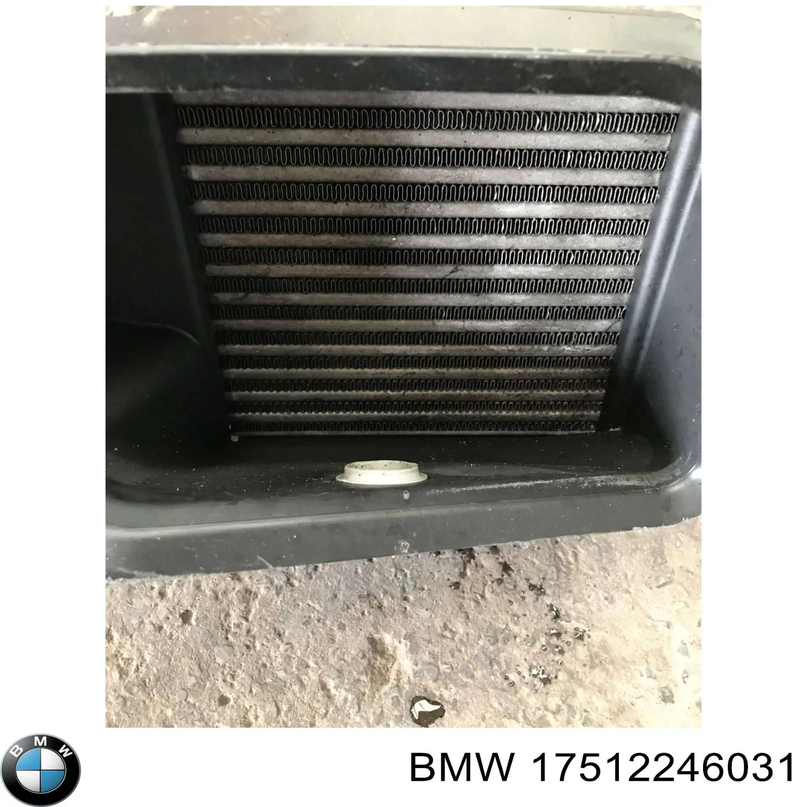 Radiador de aire de admisión BMW 17512246031 precio, desde 91,20 EUR