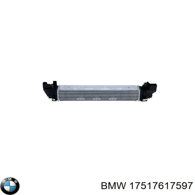 Radiador de aire de admisión BMW 17517617597