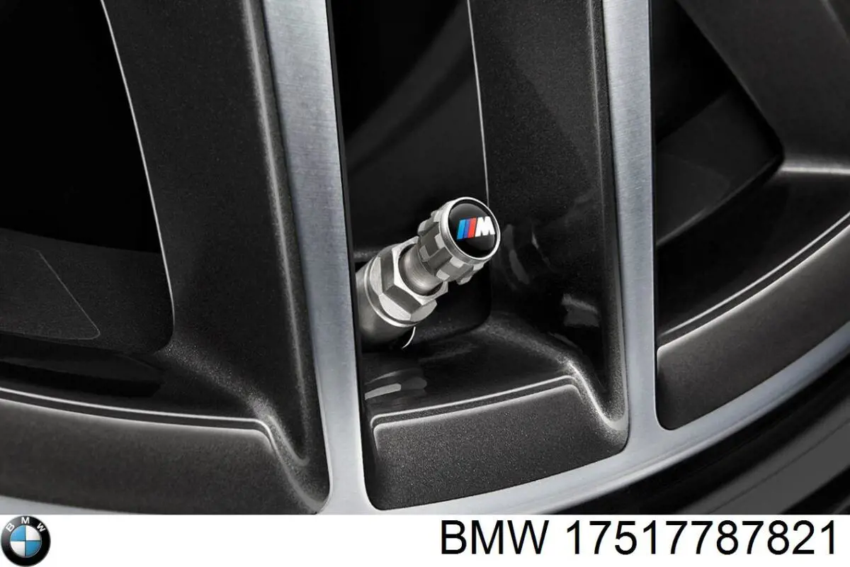 Comprar 17517787821 BMW Abrazadera de tubo del intercooler