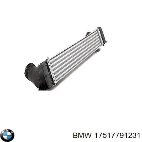 Enfriador de aire de admisión BMW 17517791231