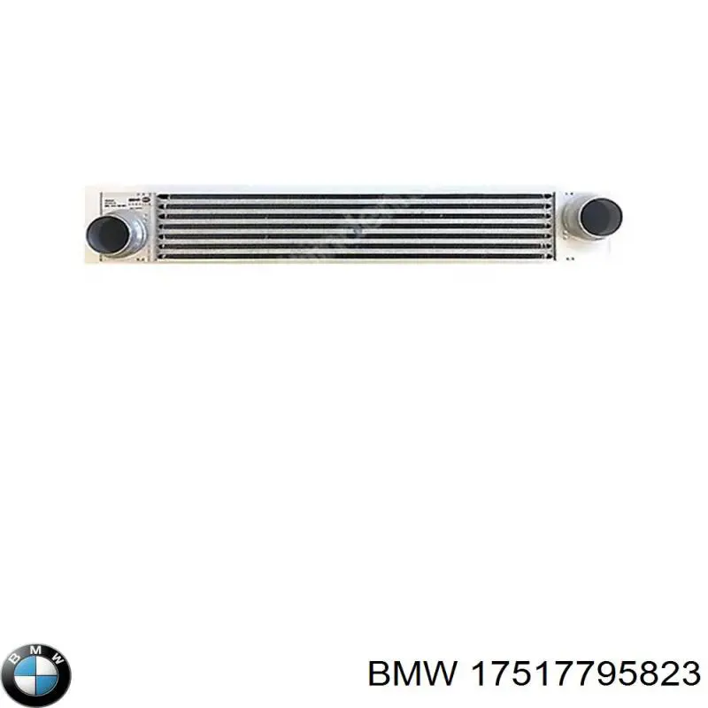 Enfriador de aire de admisión BMW 17517795823
