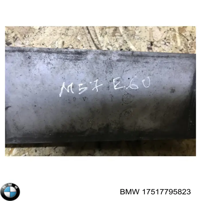 Radiador de aire de admisión BMW 17517795823 precio, desde 66,94 EUR
