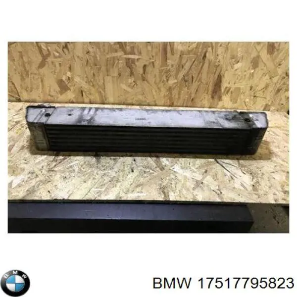 Radiador de aire de admisión BMW 17517795823 precio, desde 66,94 EUR