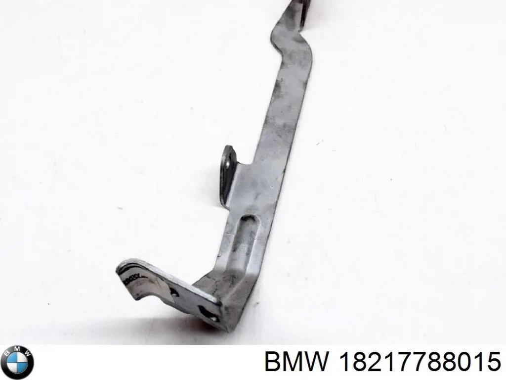 18217788015 BMW