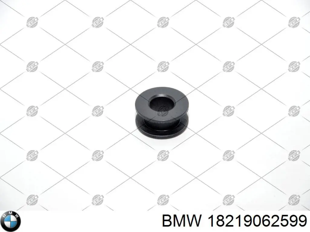  18219062599 BMW
