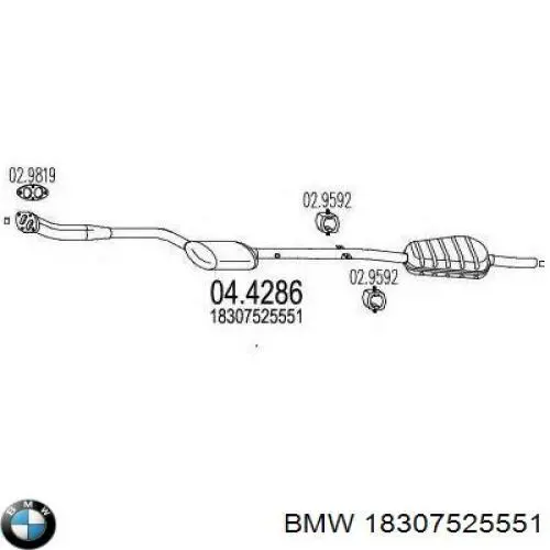 18307525551 BMW