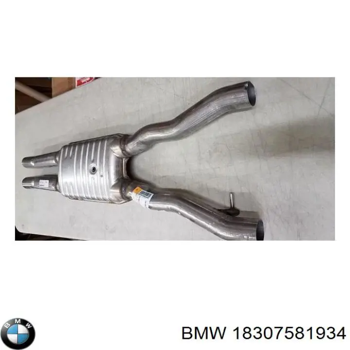  BMW 18307581934 precio, desde 108,02 EUR