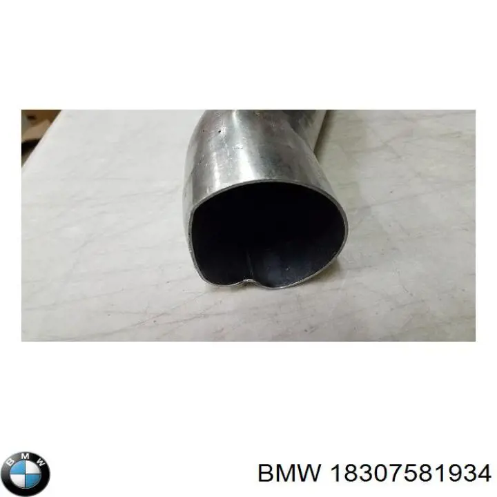 Comprar 18307581934 BMW 