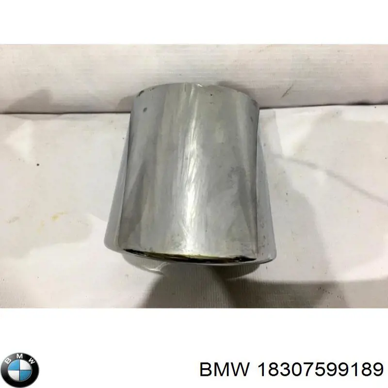Cola de escape BMW 18307599189 precio, desde 88,83 USD
