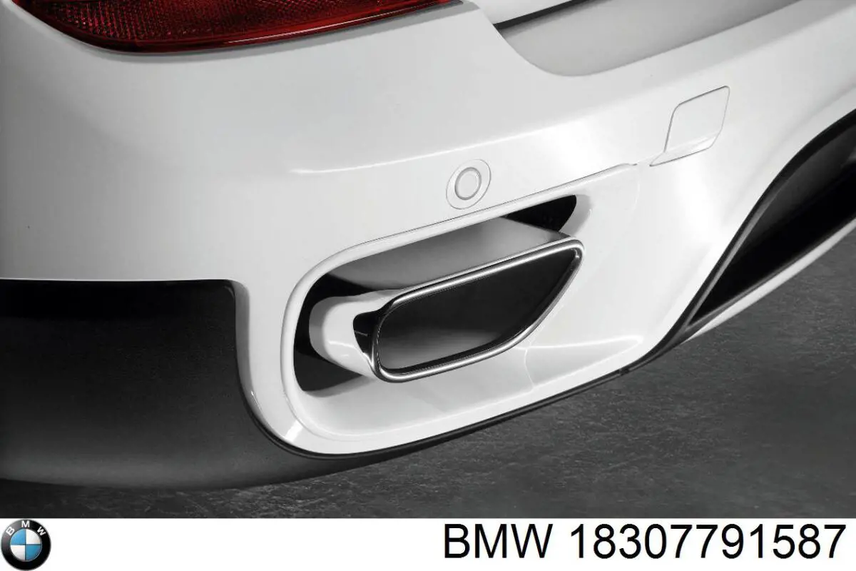  BMW 18307791587 precio, desde 4,49 EUR