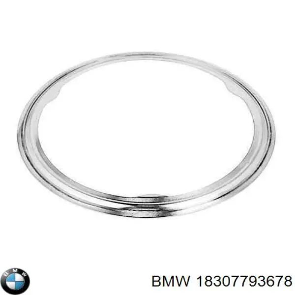 Comprar 18307793678 BMW Anillo de la tubería de admisión del silenciador