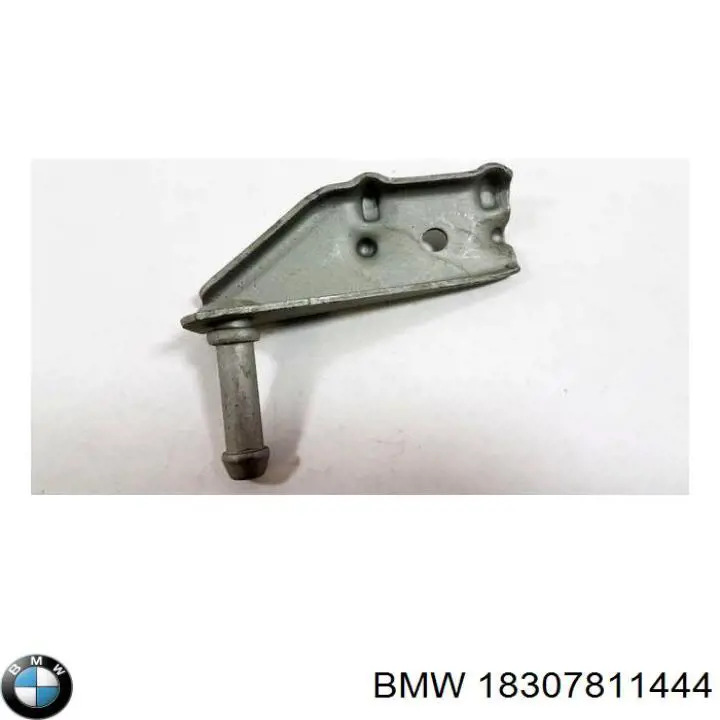 18307811444 BMW tope de goma, eje trasero