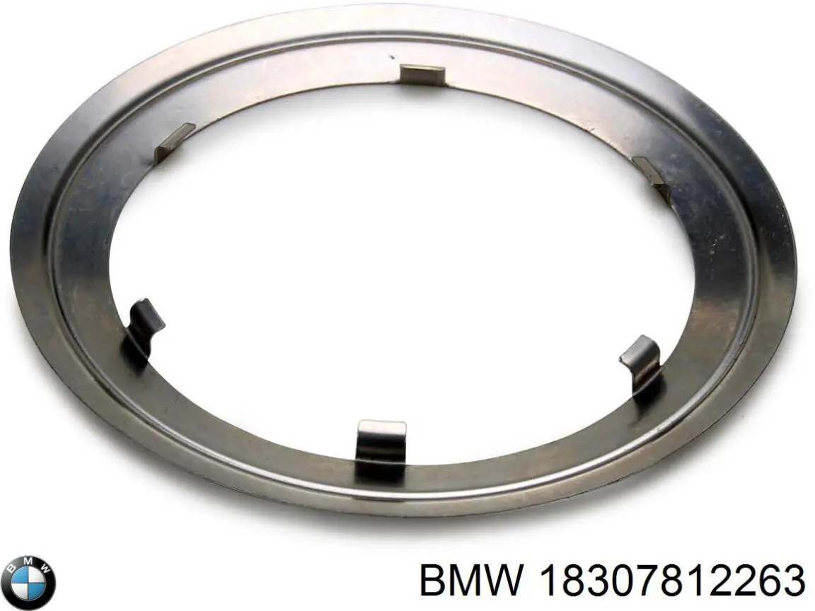 Tubo flexible de escape BMW 18307812263 precio, desde 63,99 EUR