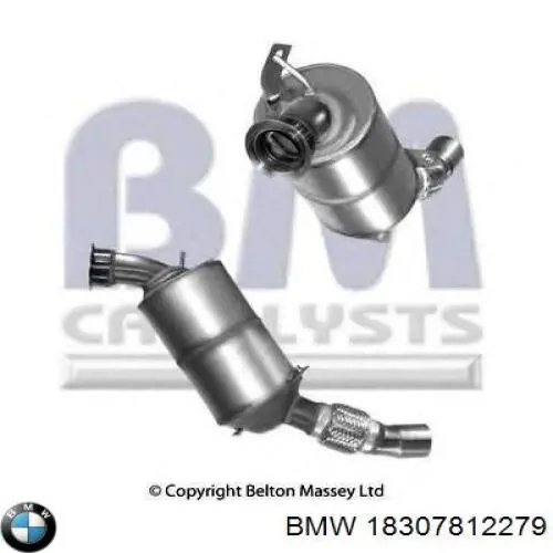 Comprar 18307812281 BMW Filtro de partículas (FAP)
