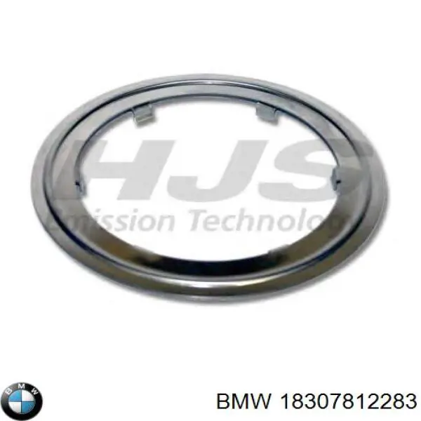 Comprar 18307812283 BMW Filtro de partículas (FAP)