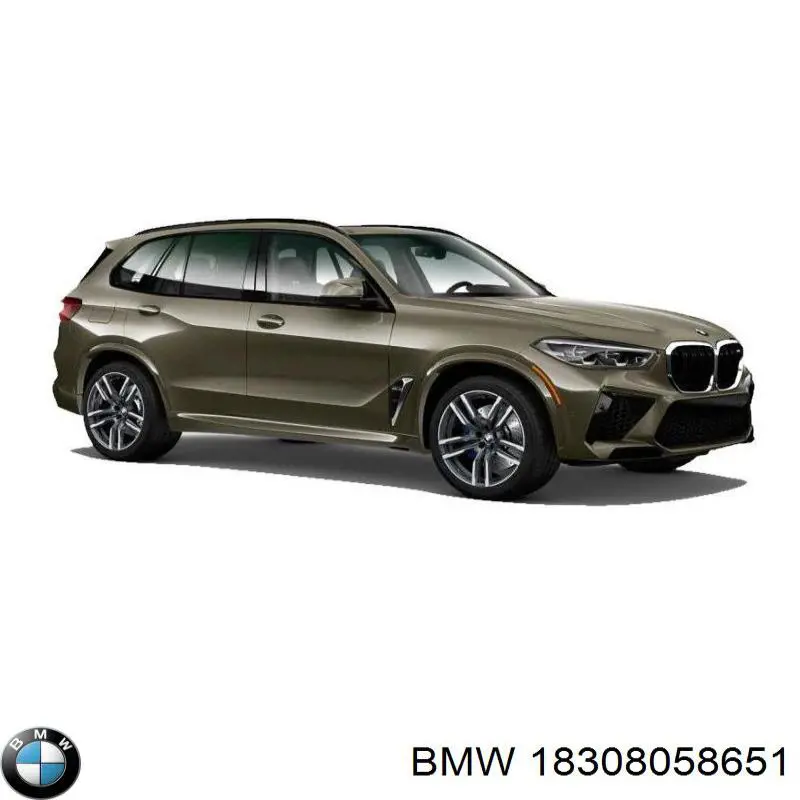 18308058651 BMW cola de escape