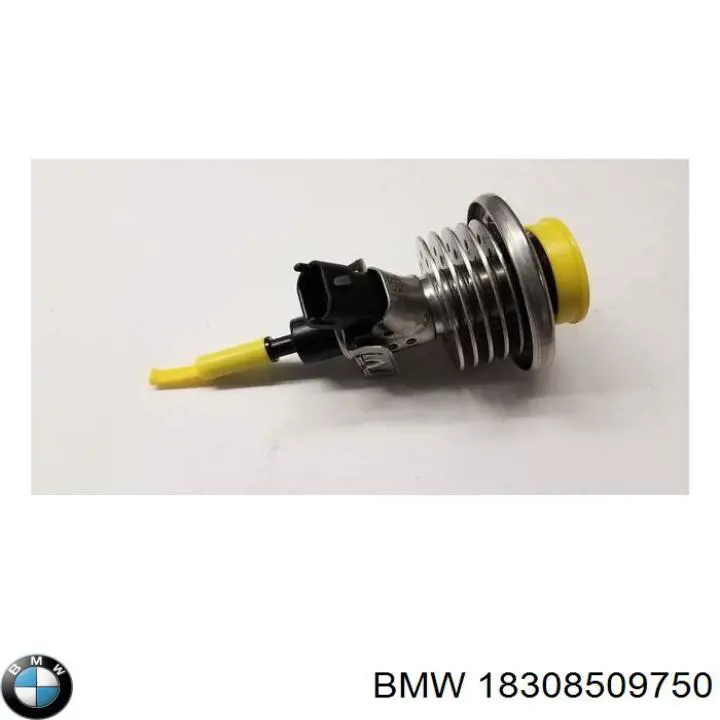 18308509750 BMW