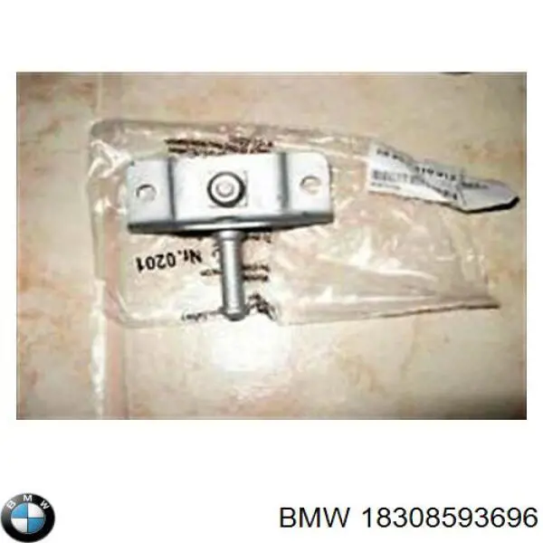 18308593696 BMW