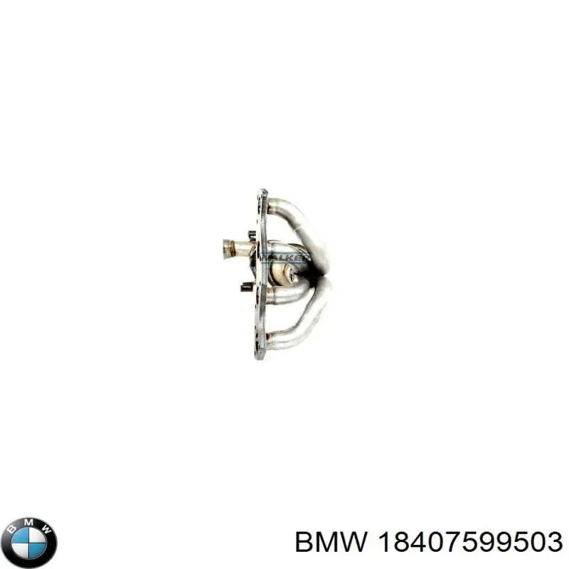 18407599503 BMW catalizador