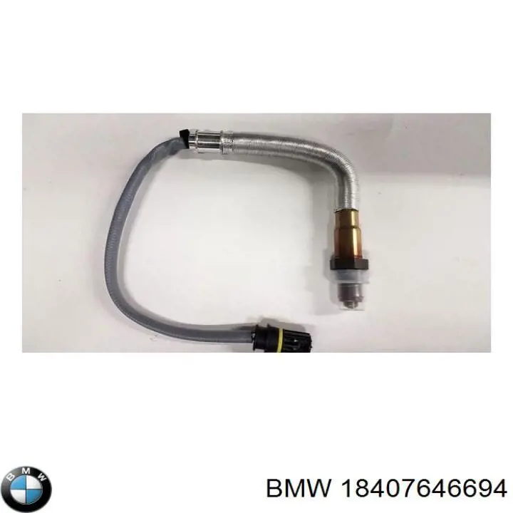 18407646694 BMW