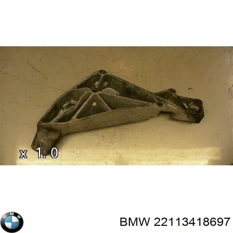 22113418697 BMW