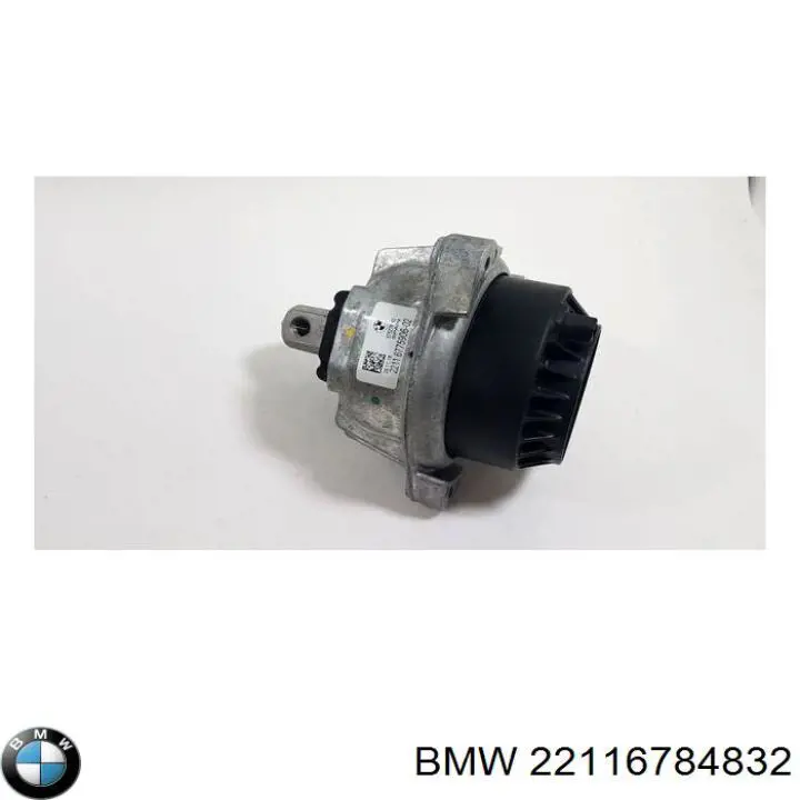 22116784832 BMW