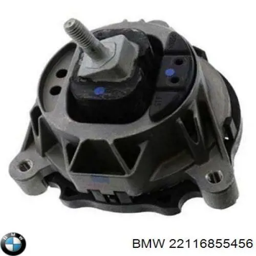 Soporte de motor derecho TED98030 Ted-gum