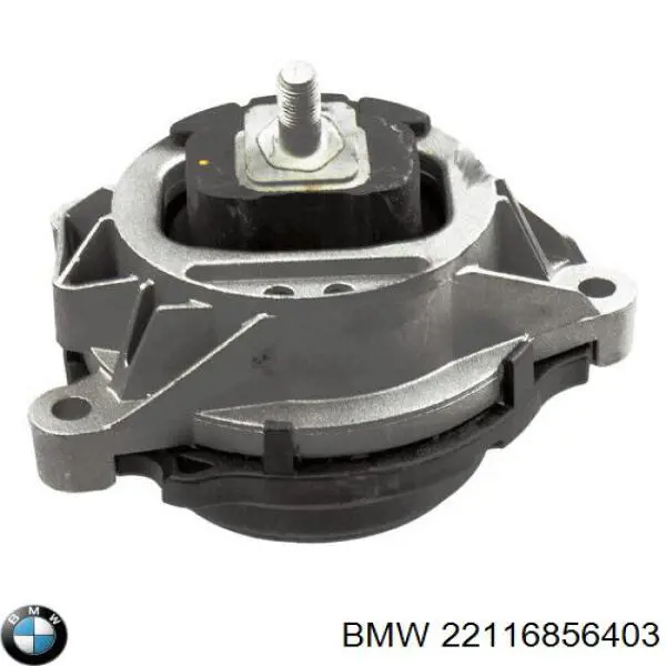 22116856403 BMW Cojín del motor