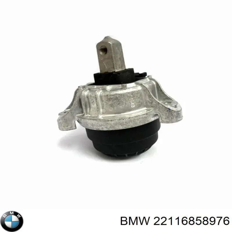 22116858976 BMW