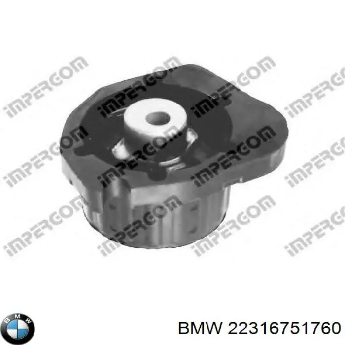 22316751760 BMW