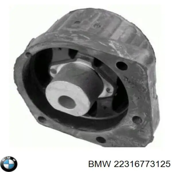 22316773125 BMW montaje de transmision (montaje de caja de cambios)