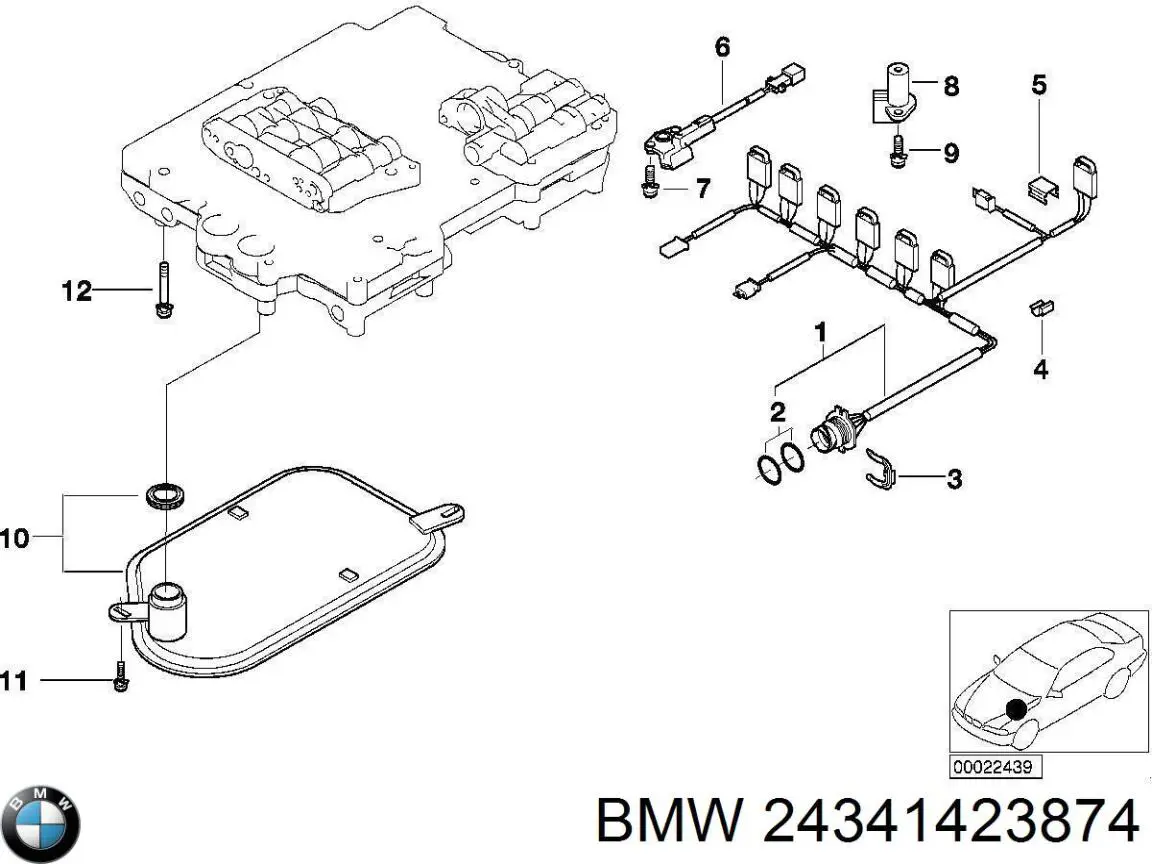 24341423874 BMW