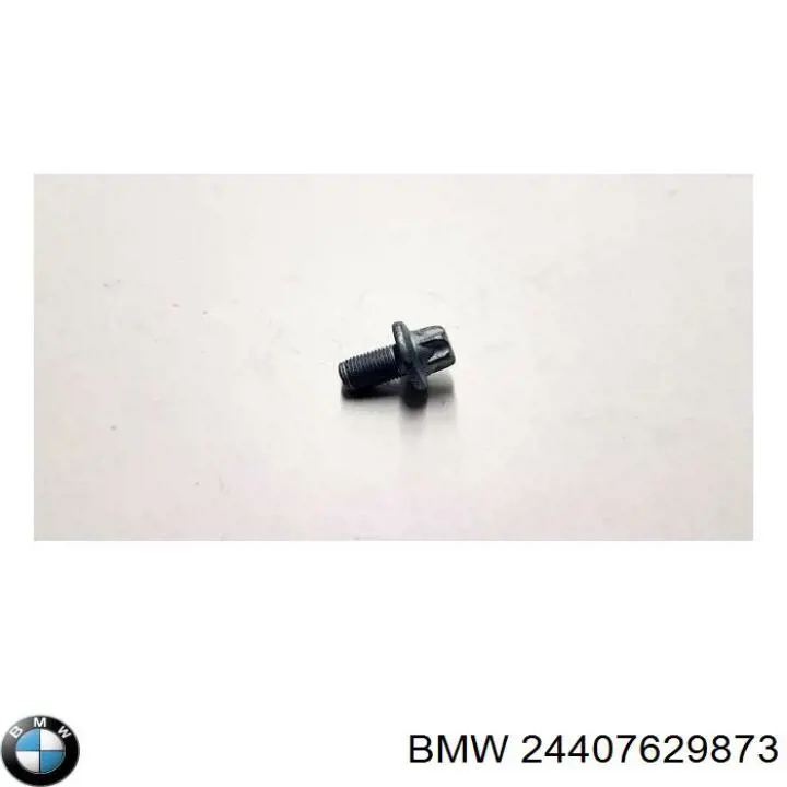 Comprar 24407629873 BMW 