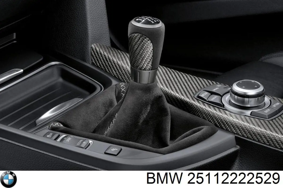 25112222529 BMW