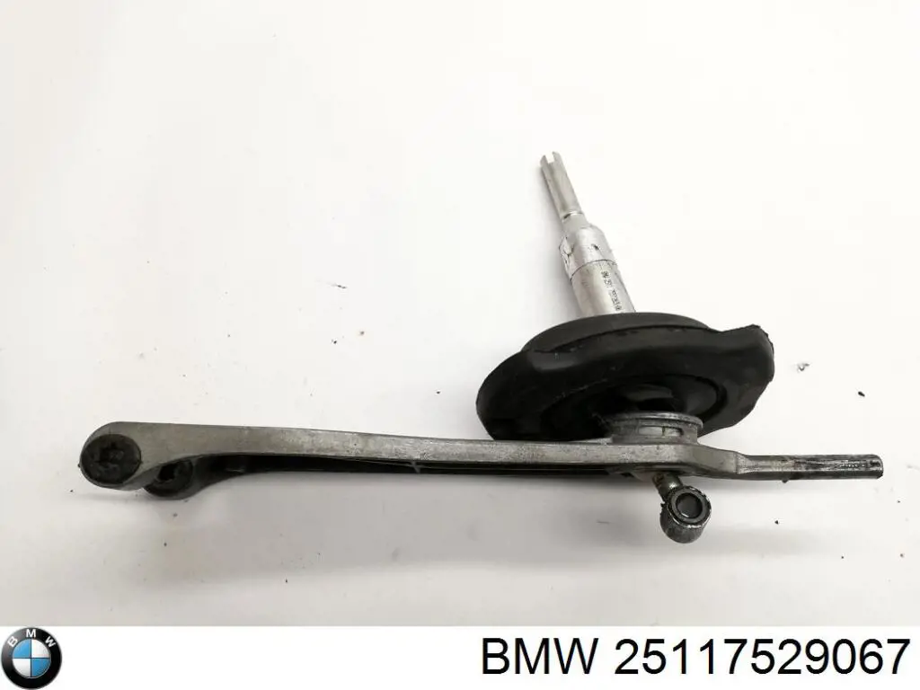  BMW 25117529067 precio, desde 81,31 EUR