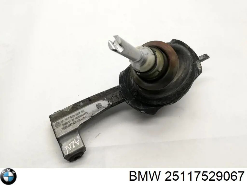  25117529067 BMW