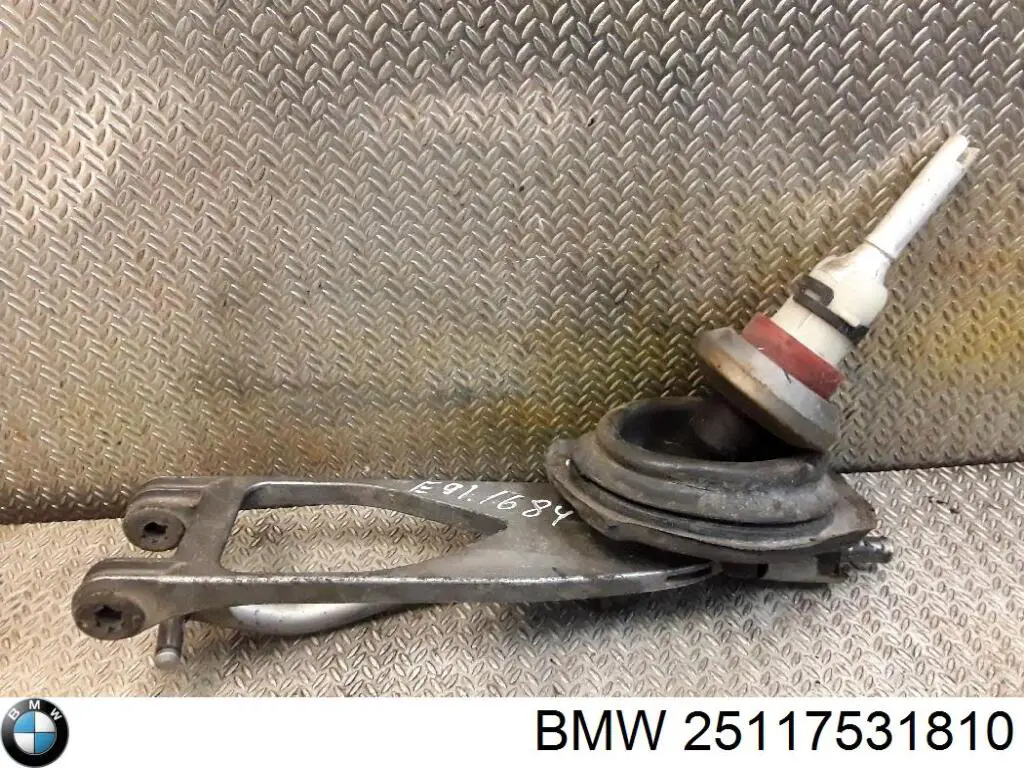 25117531810 BMW