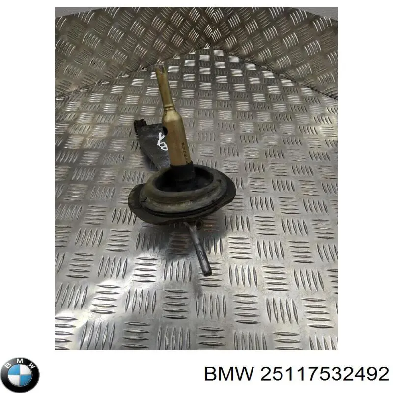 Comprar 25117532492 BMW 