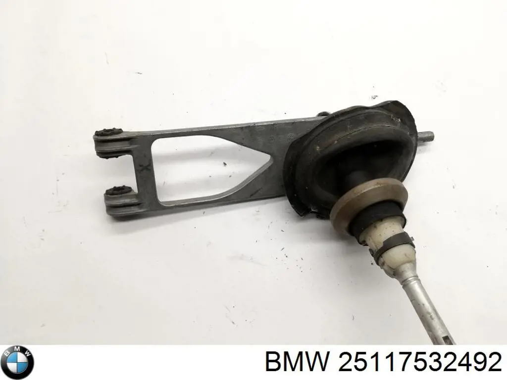  25117532492 BMW