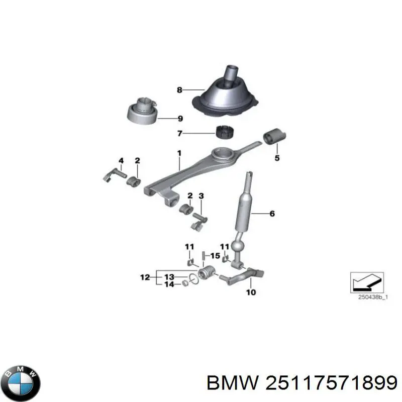 Comprar 25117571899 BMW Tuerca remachable para tornillo autorroscante