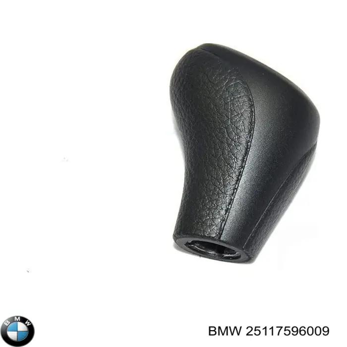 25117596009 BMW