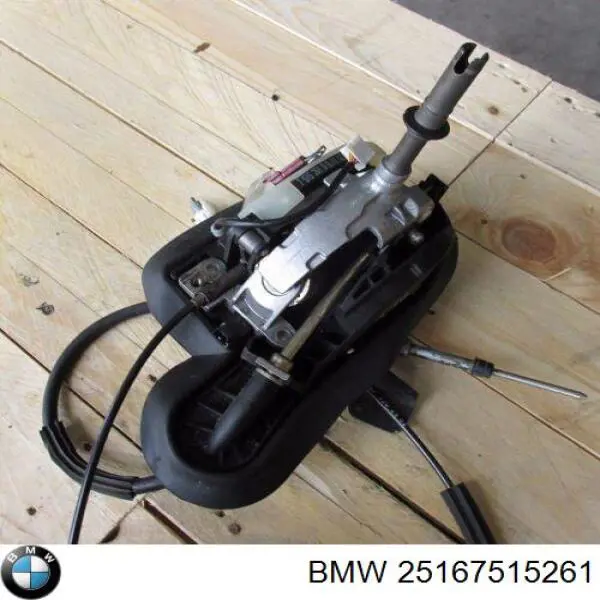 25167515261 BMW