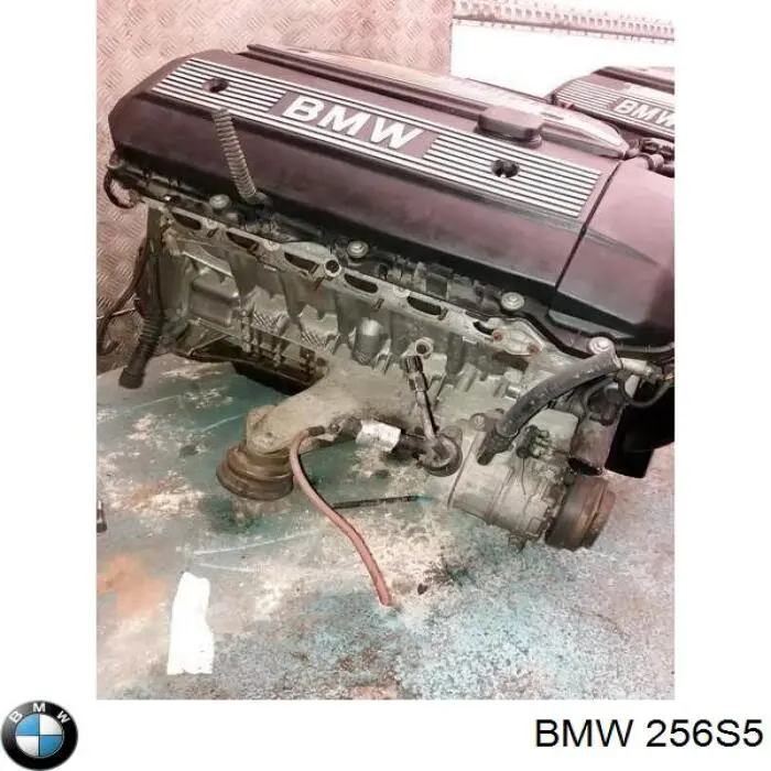 256S5 BMW Motor completo