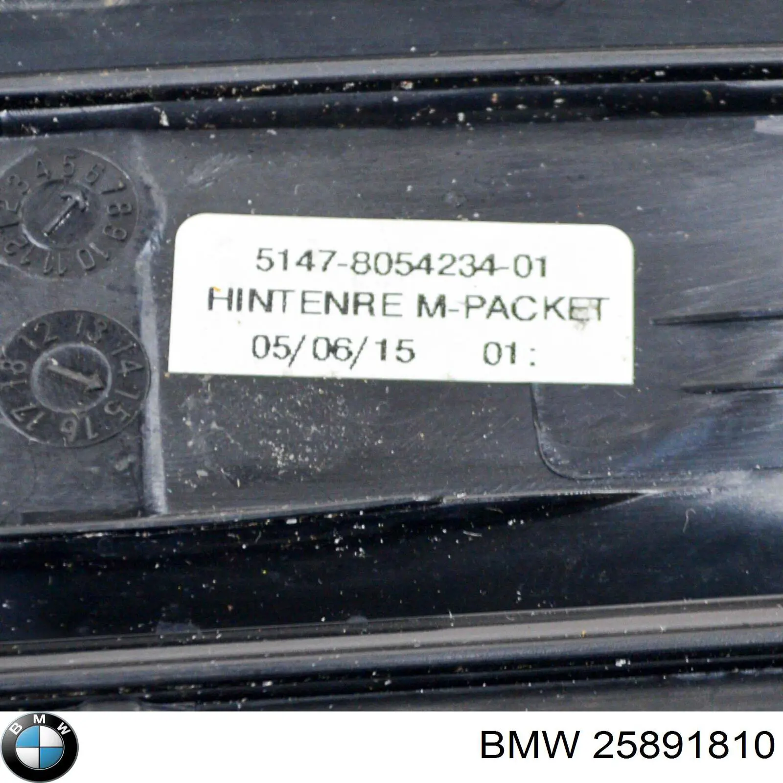 Comprar 25891810 BMW 