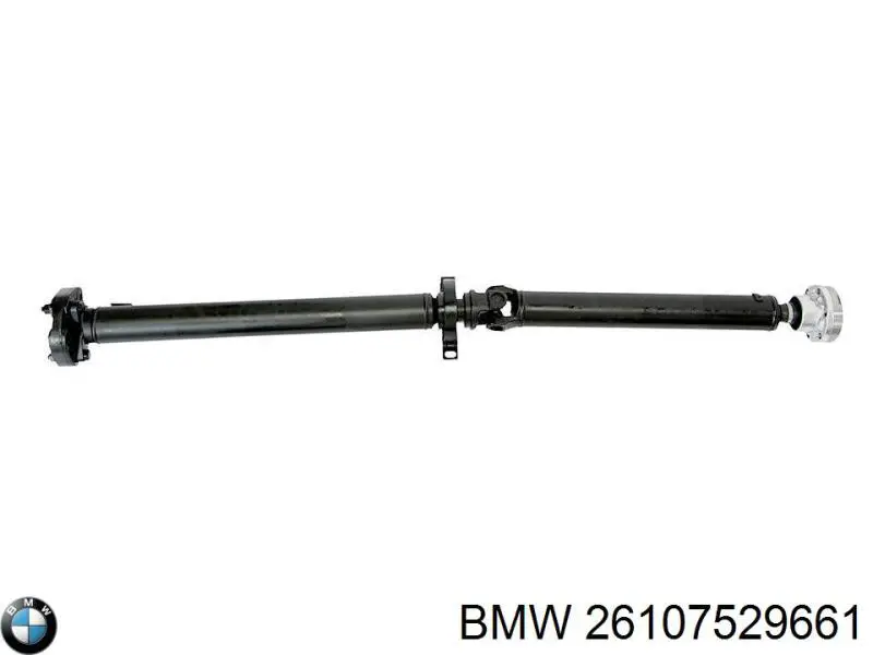 26107549305 BMW