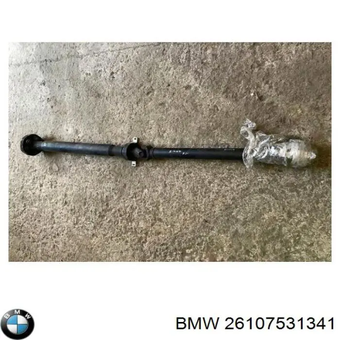 26107531341 BMW