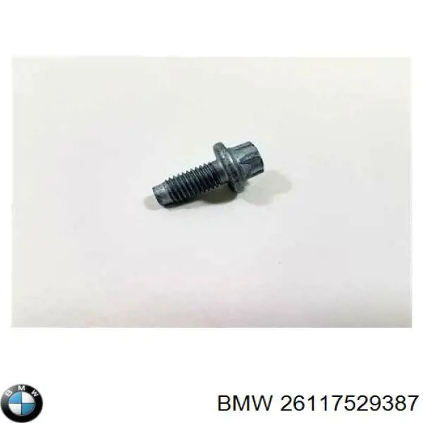 26117529387 BMW