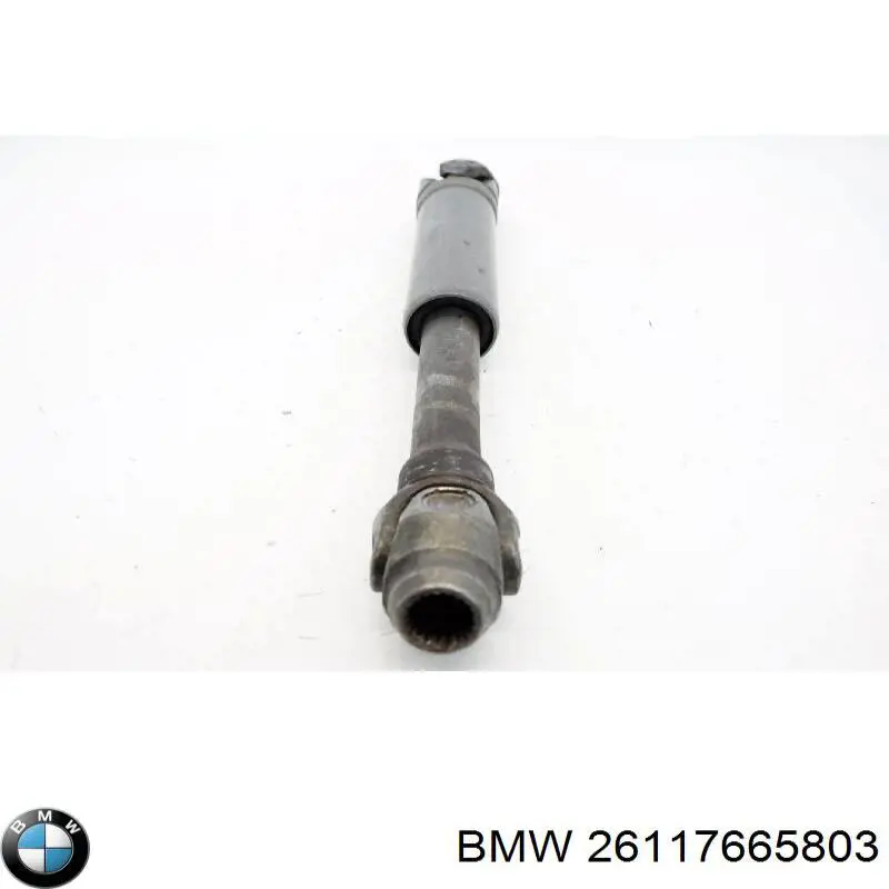 26117665803 BMW 