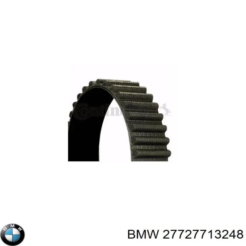 7719371 BMW correa distribucion